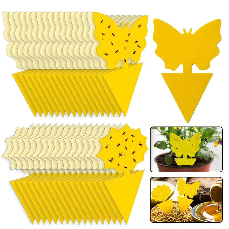 Klisterfälla för Insekter (20-pack)