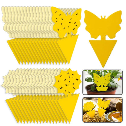 Klisterfälla för Insekter (20-pack)
